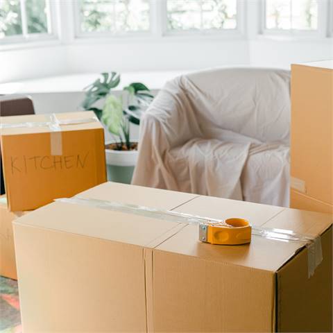 Spring Hill Movers