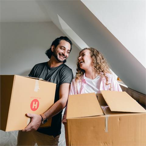 Tampa Movers