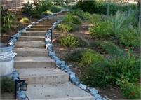 Landscape Solutions Scott McIntyre
